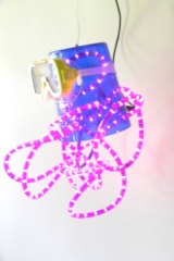 Poulpeviz