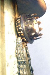 angele-riguidel-Poulpus