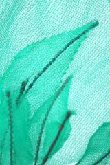 FeuillesMaillePomA01