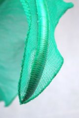 FeuillesMaillePomB01