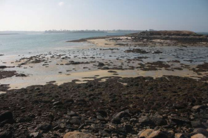 L'Aber Wrac'h - Estran