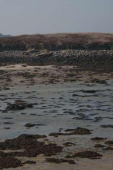 Riguidel2025WrachAber01