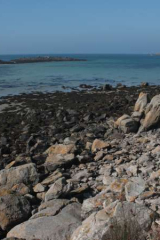 Riguidel2025WrachAber04