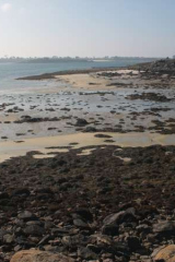 Riguidel2025WrachAber05