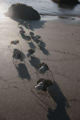 Riguidel2025WrachAnistr01