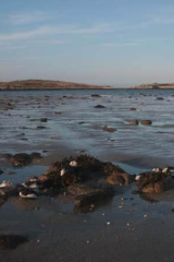 Riguidel2025WrachAnistr09