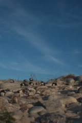 Riguidel2025WrachAnistr12