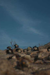 Riguidel2025WrachAnistr15