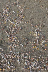 Riguidel2025WrachAn07