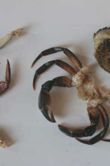 Riguidel2025WrachAn09