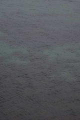 Riguidel2025Wracheau01