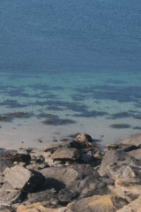 Riguidel2025Wracheau02