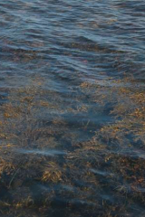 Riguidel2025Wracheau03