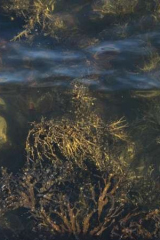 Riguidel2025Wracheau04