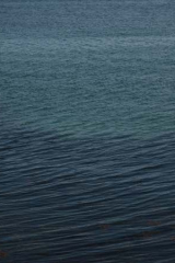 Riguidel2025Wracheau05