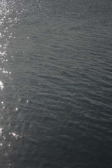 Riguidel2025Wracheau07