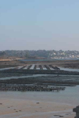 Riguidel2025WrachHui03