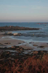 Riguidel2025WrachHui06