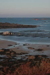 Riguidel2025WrachHui08