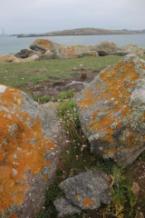 Riguidel2025WrachIle08