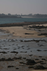 Riguidel2025WrachIle12