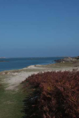 Riguidel2025WrachIle15