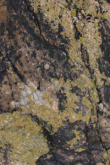 Riguidel2025WrachRoc03