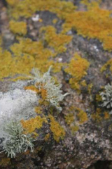 Riguidel2025WrachRoc04