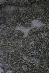 Riguidel2025WrachRoc06