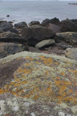 Riguidel2025WrachRoc09