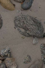 Riguidel2025WrachRoc12