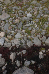 Riguidel2025WrachRoc15