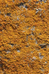 Riguidel2025WrachRoc18