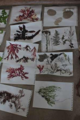 Riguidel2025WrachRec01