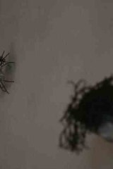 Riguidel2025WrachRec06