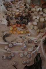 Riguidel2025WrachRec08