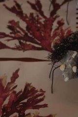 Riguidel2025WrachRec09