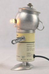 Staphylo1