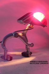 angele riguidel-2011-04